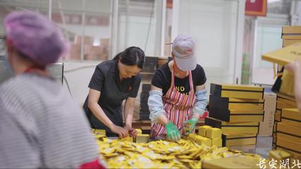 以司法之力，护茶香悠悠——宣恩县法院加强知识产权法治保障有力支持全面创新